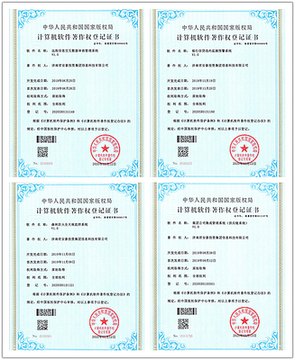 深耕網絡信息科技專業領域，技術咨詢賦能數字未來